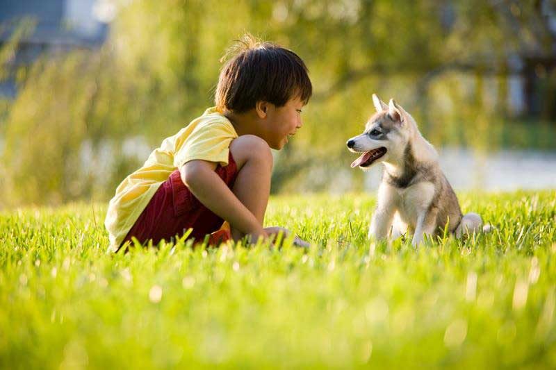 Heartworm Awareness Month Begins - Veterinary Dedham