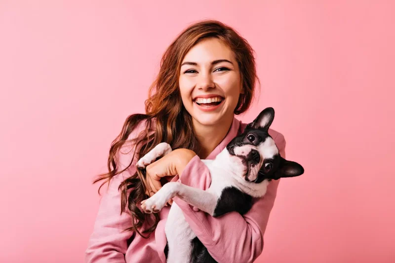 Where should your pet sleep? - Veterinary Dedham