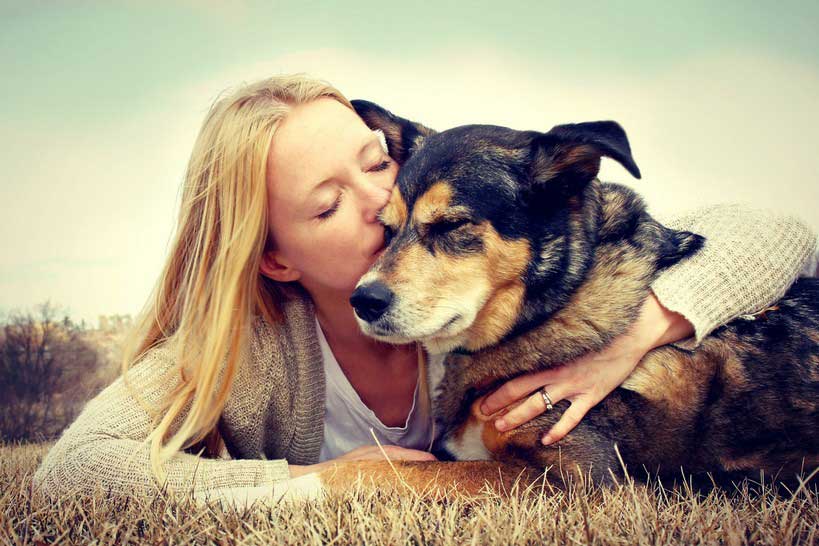 Pet Hospice and Euthanasia Services in Dedham, MA