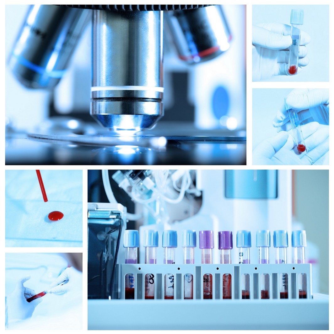 Onsite Veterinary Diagnostics in Dedham, MA