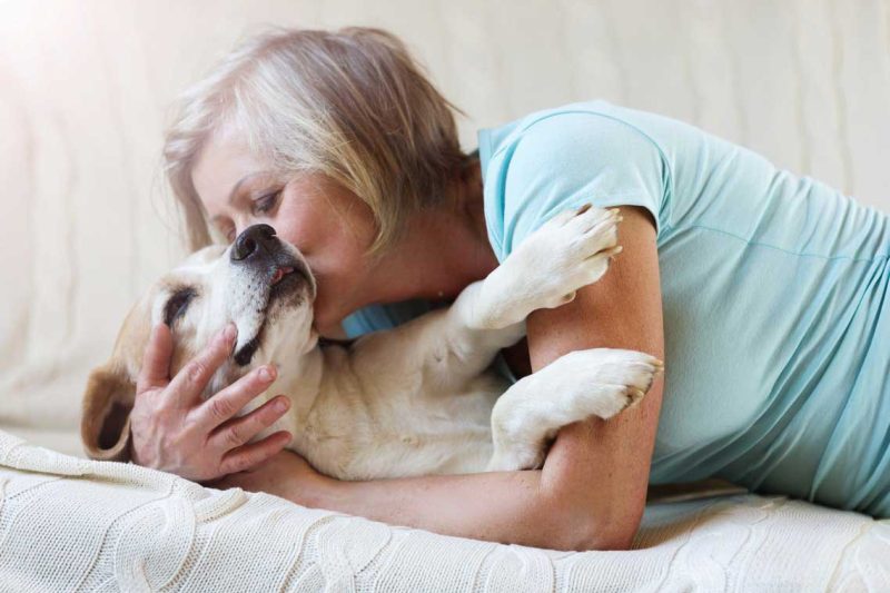 Smallanimalpainmanagement Img - Veterinary Dedham
