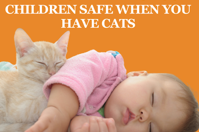 10 Tips for Keeping Your Children Safe When You Have Cats - Veterinary Dedham