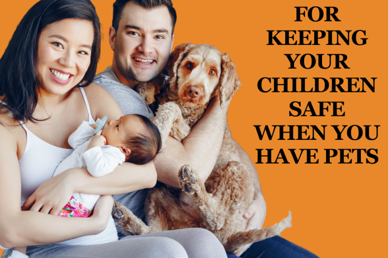 10 Tips for Keeping Your Children Safe When You Have Pets - Veterinary Dedham