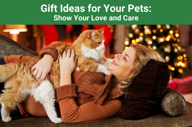 Gift Ideas for Your Pets: Show Your Love and Care - Veterinary Dedham